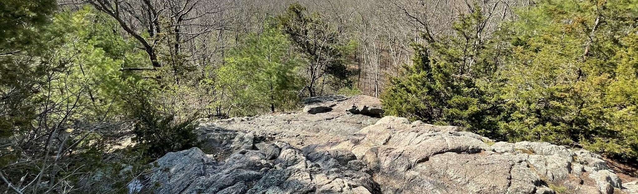 Rocky Ledges Overlook Via Boulder Brook Reservation Trail   EyJidWNrZXQiOiJhc3NldHMuYWxsdHJhaWxzLmNvbSIsImtleSI6InVwbG9hZHMvcGhvdG8vaW1hZ2UvMzU2NDI2MjMvZjA1NTEzYWU5OGQzODVmZTcwYmFkZjFmNTdjZDcyNzMuanBnIiwiZWRpdHMiOnsidG9Gb3JtYXQiOiJqcGVnIiwicmVzaXplIjp7IndpZHRoIjoyMDQ0LCJoZWlnaHQiOjYyNCwiZml0IjoiY292ZXIifSwicm90YXRlIjpudWxsLCJqcGVnIjp7InRyZWxsaXNRdWFudGlzYXRpb24iOnRydWUsIm92ZXJzaG9vdERlcmluZ2luZyI6dHJ1ZSwib3B0aW1pc2VTY2FucyI6dHJ1ZSwicXVhbnRpc2F0aW9uVGFibGUiOjN9fX0=