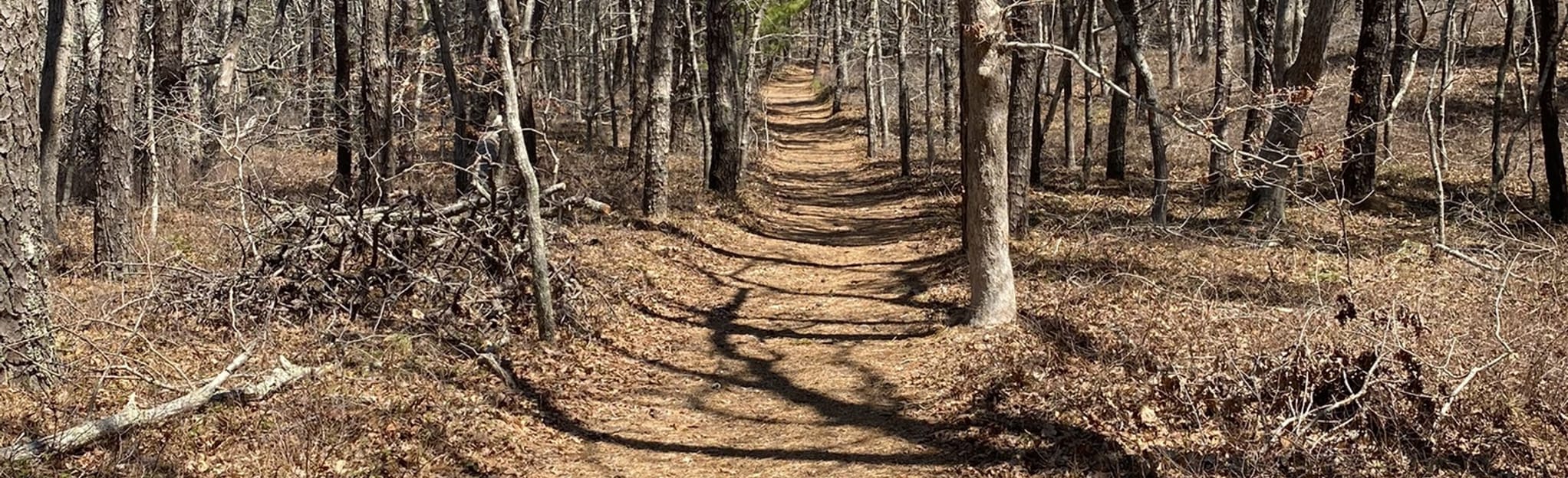 AllTrails Ansel Chaplin Trail 6 Reviews, Map Massachusetts
