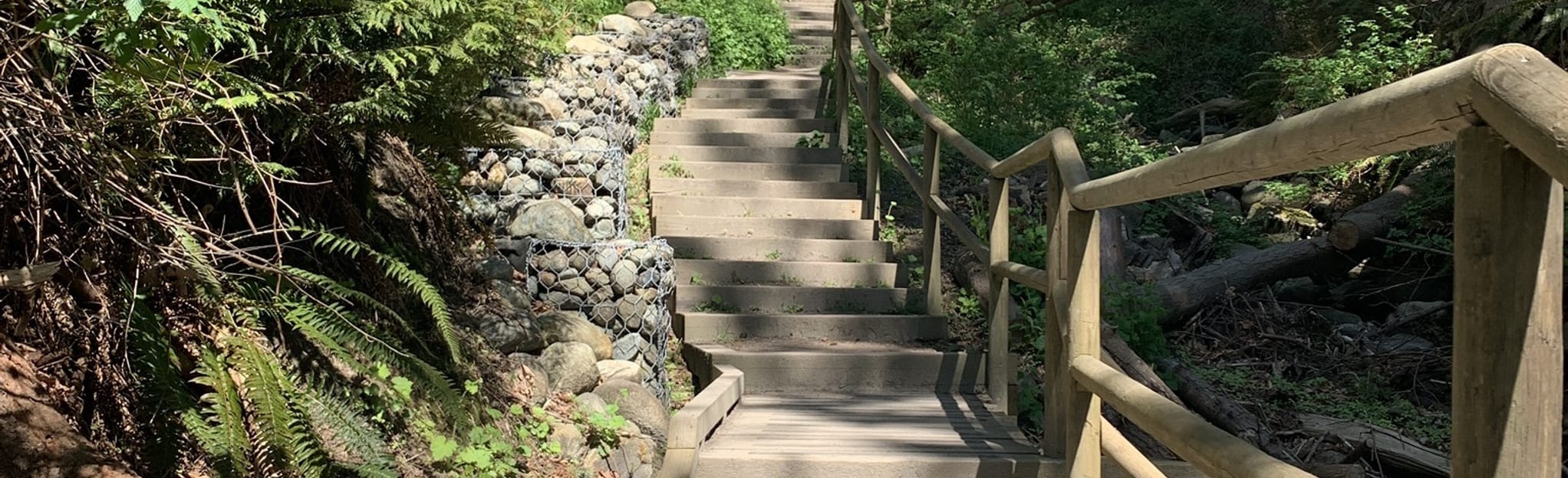 Trail 7 to Wreck Beach British Columbia, Canada AllTrails