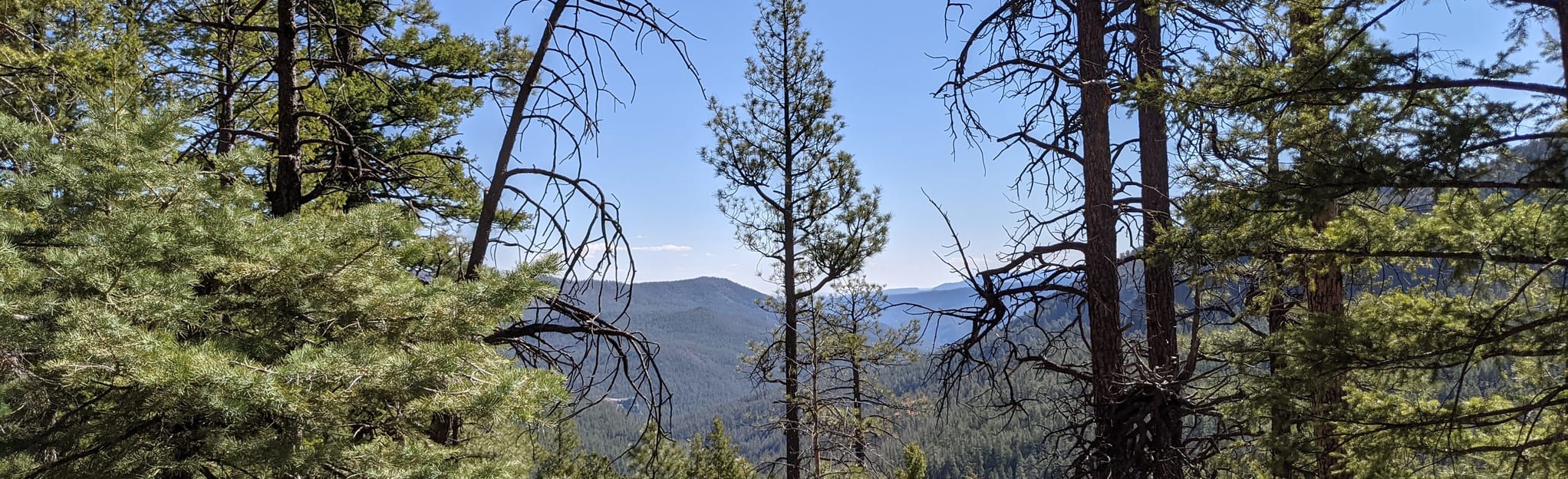 Jemez Canyon Overlook, New Mexico 30 Reviews, Map AllTrails
