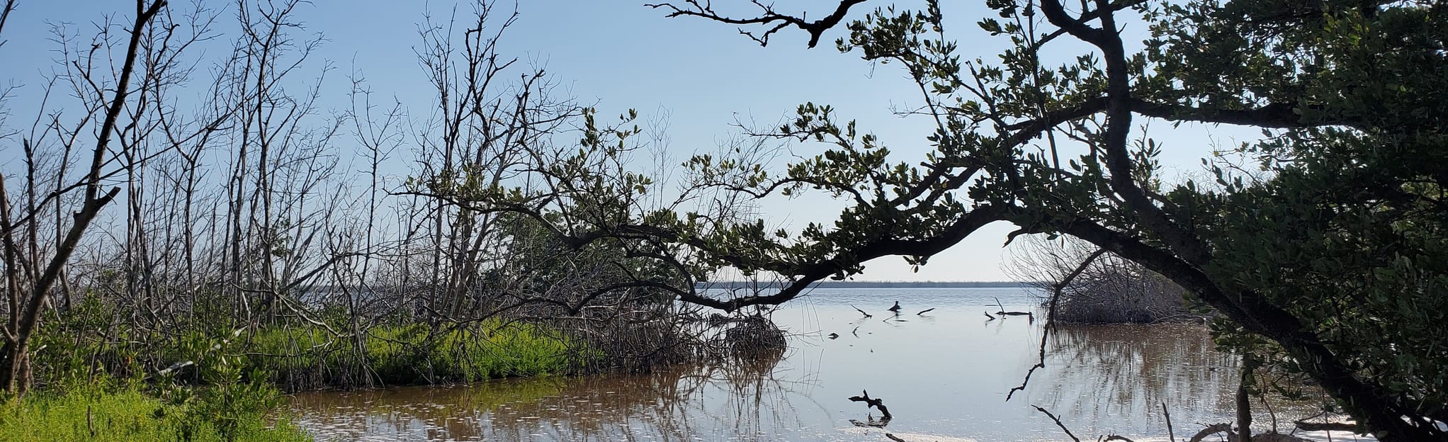 Bear Lake Trail 51 Reviews Map - EyJidWNrZXQiOiJhc3NldHMuYWxsdHJhaWxzLmNvbSIsImtleSI6InVwbG9hZHMvcGhvdG8vaW1hZ2UvMzU2NTEyNDMvZDdhZmZiMjlkZjhjMjgxYTlmMzM0YzM1MDQ4ZWQ1YjUuanBnIiwiZWRpdHMiOnsidG9Gb3JtYXQiOiJqcGVnIiwicmVzaXplIjp7IndpZHRoIjoyMDQ0LCJoZWlnaHQiOjYyNCwiZml0IjoiY292ZXIifSwicm90YXRlIjpudWxsLCJqcGVnIjp7InRyZWxsaXNRdWFudGlzYXRpb24iOnRydWUsIm92ZXJzaG9vdERlcmluZ2luZyI6dHJ1ZSwib3B0aW1pc2VTY2FucyI6dHJ1ZSwicXVhbnRpc2F0aW9uVGFibGUiOjN9fX0=