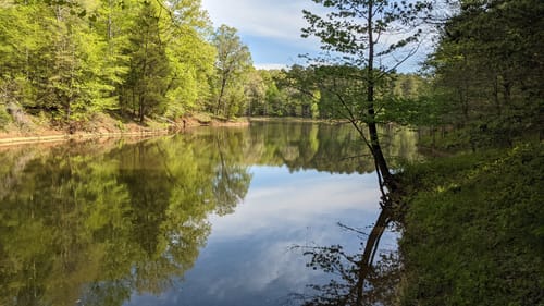 Falls Lake Hiking Trails Best 10 Trails In Falls Lake State Recreation Area | Alltrails