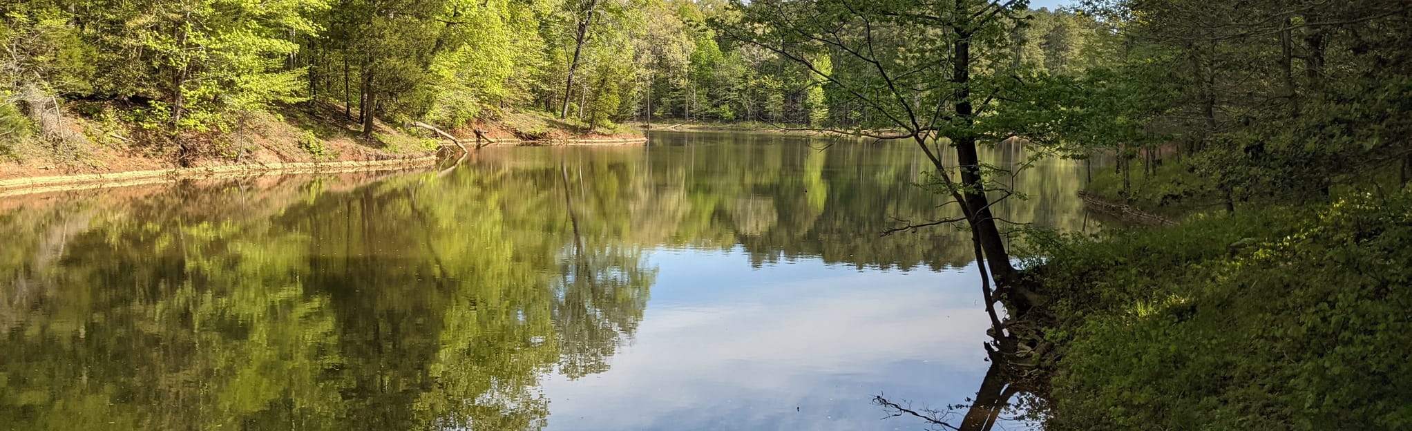 Falls Lake Trail Mountains to Sea - EyJidWNrZXQiOiJhc3NldHMuYWxsdHJhaWxzLmNvbSIsImtleSI6InVwbG9hZHMvcGhvdG8vaW1hZ2UvMzU2NTU1MTkvYWU5NzBkYzZhMzE0ZTg2Zjk1NjcwOWY2YzQ0YjNlNTMuanBnIiwiZWRpdHMiOnsidG9Gb3JtYXQiOiJqcGVnIiwicmVzaXplIjp7IndpZHRoIjoyMDQ0LCJoZWlnaHQiOjYyNCwiZml0IjoiY292ZXIifSwicm90YXRlIjpudWxsLCJqcGVnIjp7InRyZWxsaXNRdWFudGlzYXRpb24iOnRydWUsIm92ZXJzaG9vdERlcmluZ2luZyI6dHJ1ZSwib3B0aW1pc2VTY2FucyI6dHJ1ZSwicXVhbnRpc2F0aW9uVGFibGUiOjN9fX0=