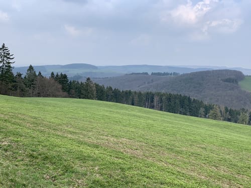 Kleine Runde um den Schöneberg