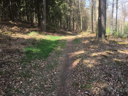 Mespelbrunn Nordic-Walking 2: Rote Tour