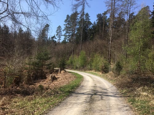 Rundwanderweg Hessenthal: Zur Hohen Wart