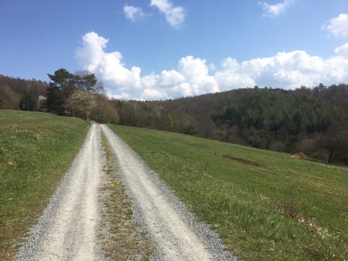 Nordic-Walking-Parcour Mespelbrunn: Schwarz