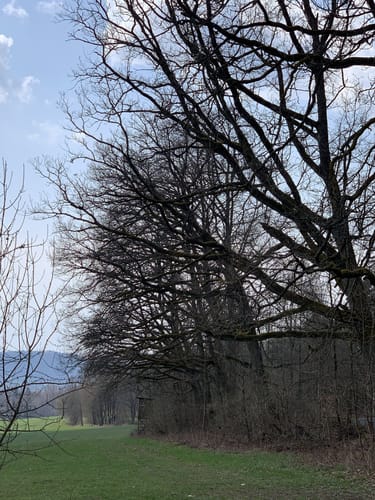 Zur Hähnleinsquelle