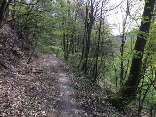 Mühlenwanderweg Walluftal