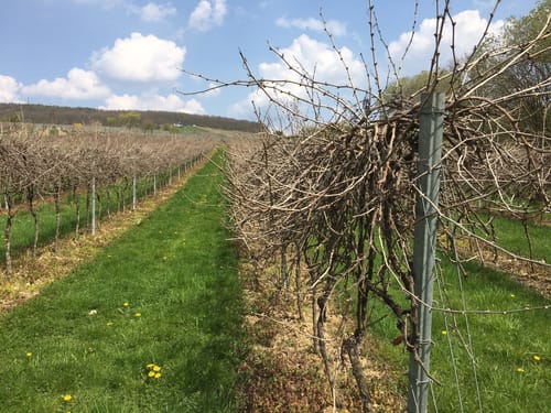Mühlenwanderweg Walluftal