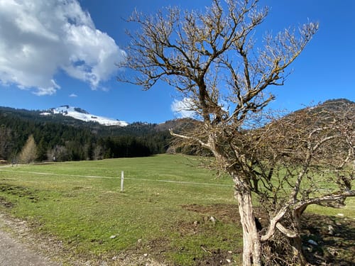 Wanderweg Nr. 0 - Brannenburg