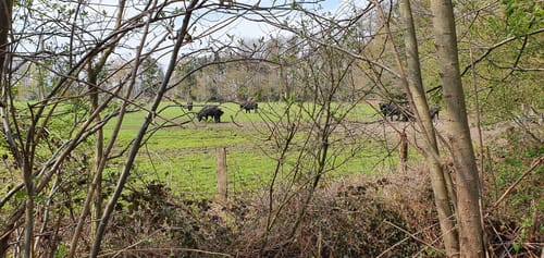 Am Ölbach und auf dem Hofweg