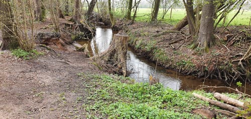 Am Ölbach und auf dem Hofweg