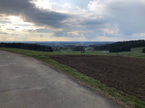 Waldcafe nach Hochemmingen