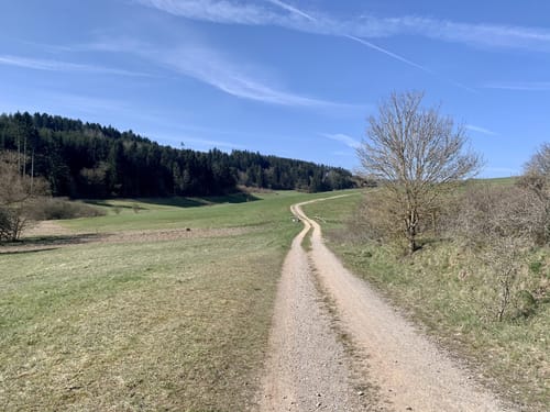 EifelSchleife Vun drinne noh drusse
