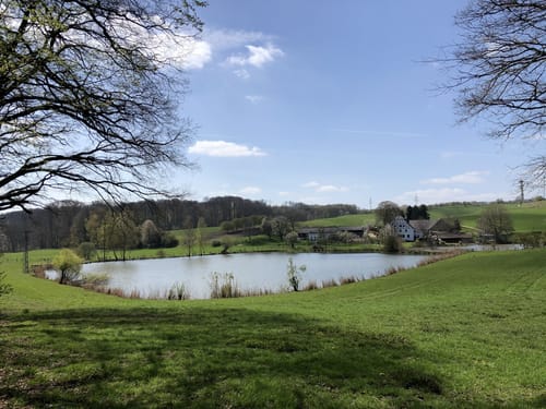 Bergrad Weg