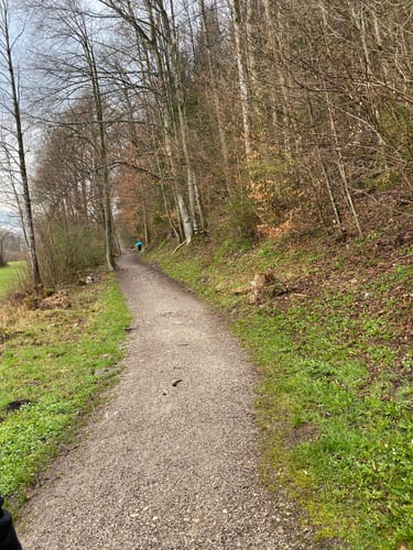 Wandern im ZugspitzLand Farchant - Waldsaumweg