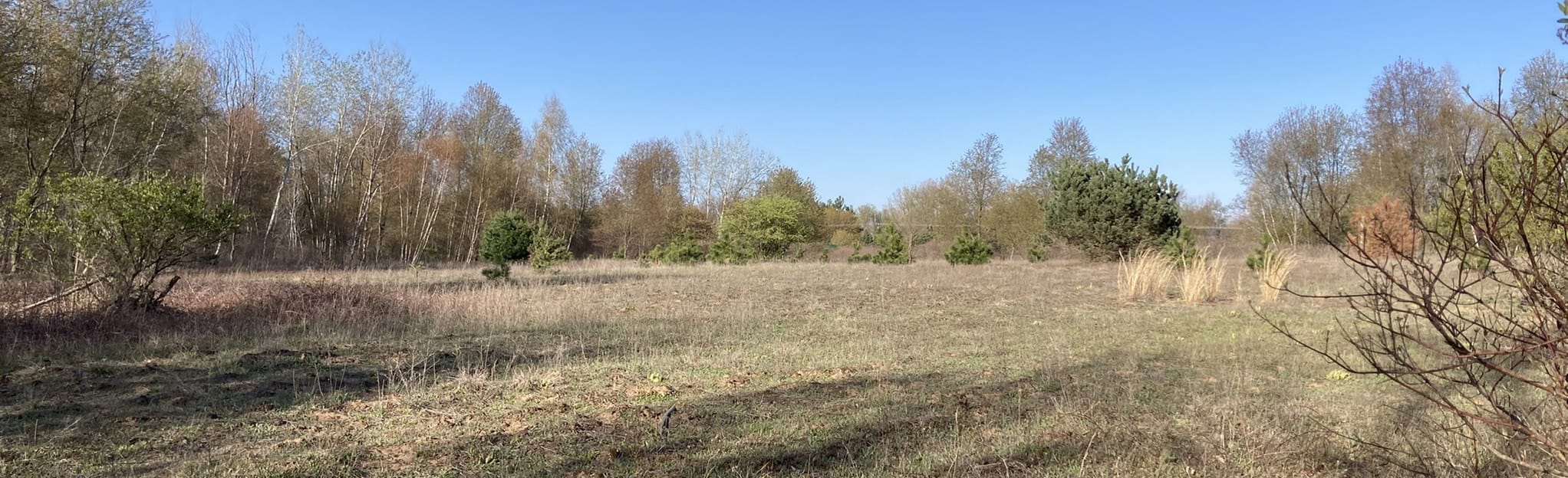 North Meridian Road Park Blue Trail Michigan AllTrails