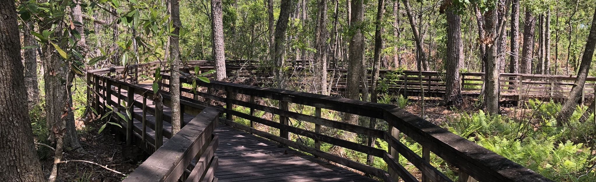 Weeks Bay Reserve Trail, Alabama - 53 Reviews, Map | AllTrails