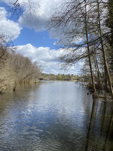 Boddenseeroute von Birkenweder