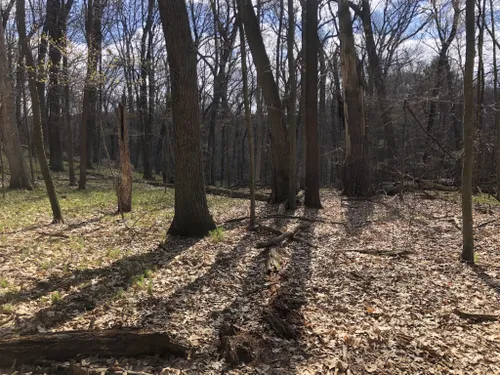 Yankee Springs Original Tee — NATURE WALK