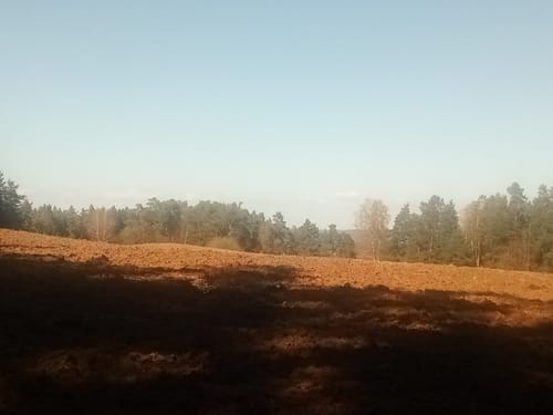 Rundweg Hochstahl