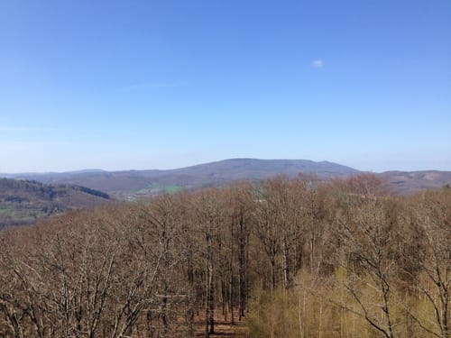 Premiumwanderweg: Waldkappeler Berge P17