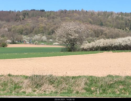 Steinau an der Straße: Wanderweg 4a