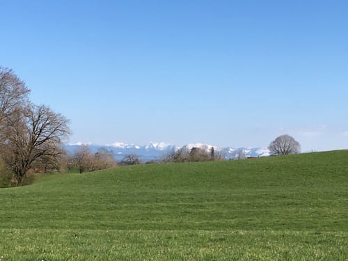 Wanderweg W7: Von Egg übers Milchwegle ins Pfaumoos und Maiertal