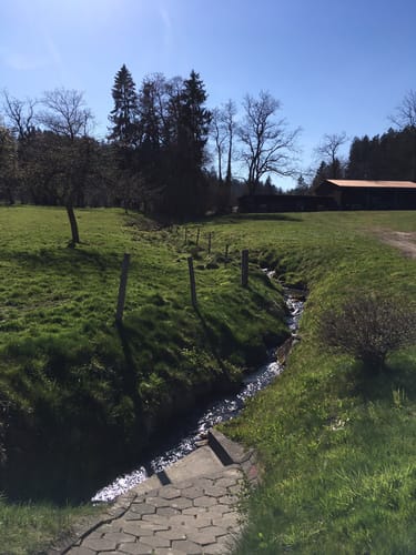 Wanderweg W7: Von Egg übers Milchwegle ins Pfaumoos und Maiertal