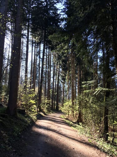 Wanderweg W7: Von Egg übers Milchwegle ins Pfaumoos und Maiertal