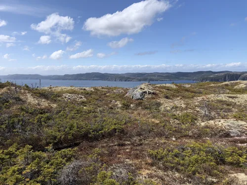 2023 Best Forest Trails in Caplin CoveSouthport AllTrails