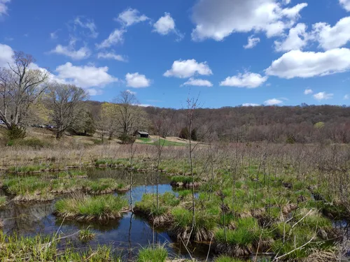 10 Best Hikes and Trails in Ward Pound Ridge Reservation | AllTrails