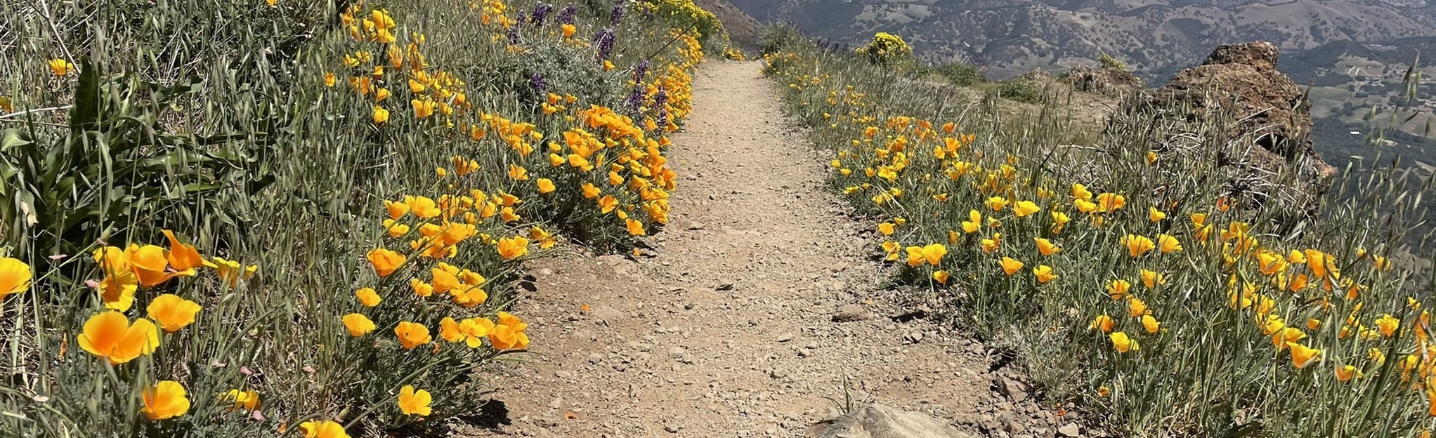 North Peak, Mount Diablo, Eagle Peak, Black Point, and Mount Olympia