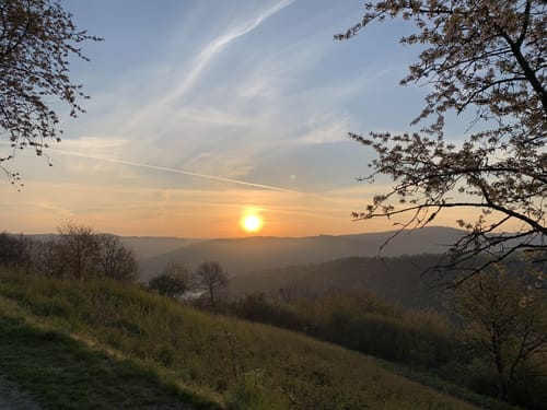 Aus Manubach rund um Winzberg