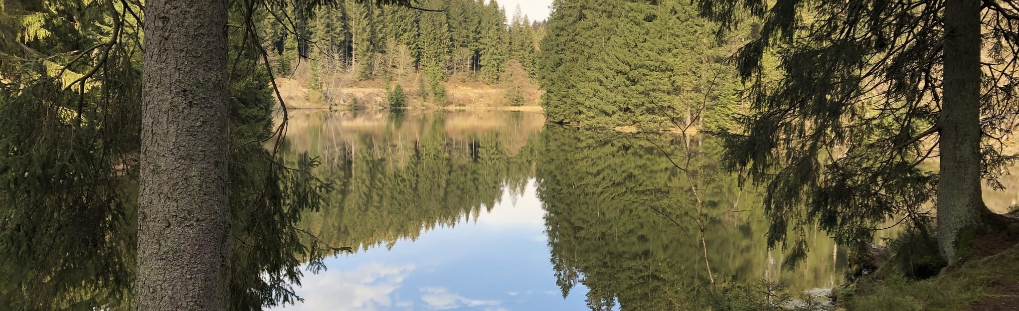 Sieben TeicheTour (O2) 2 Reviews, Map Lower Saxony, Germany AllTrails