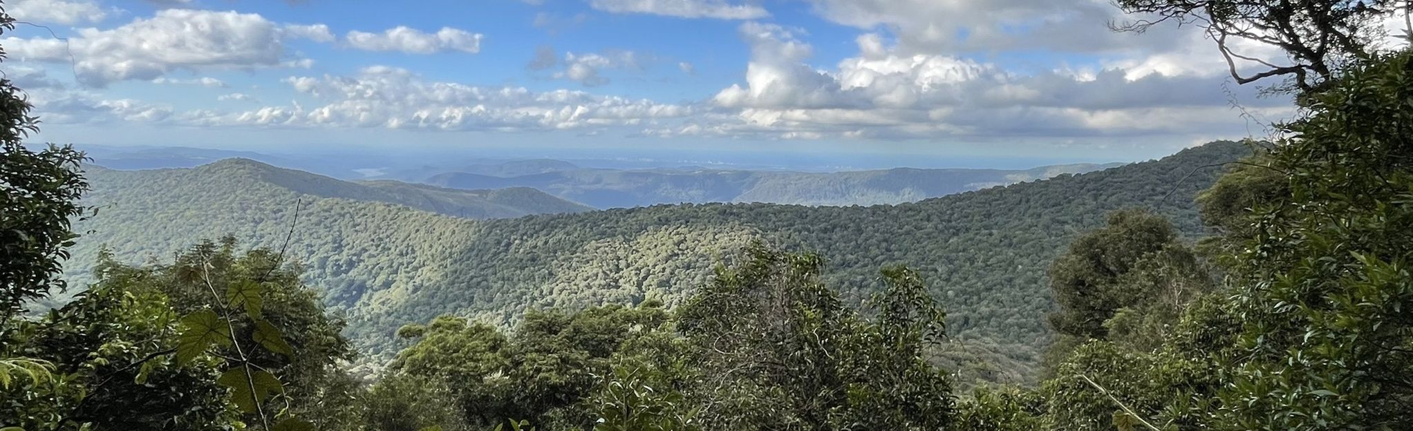 Gold Coast Hinterland Great Walk: 49 Reviews, Map - Queensland ...