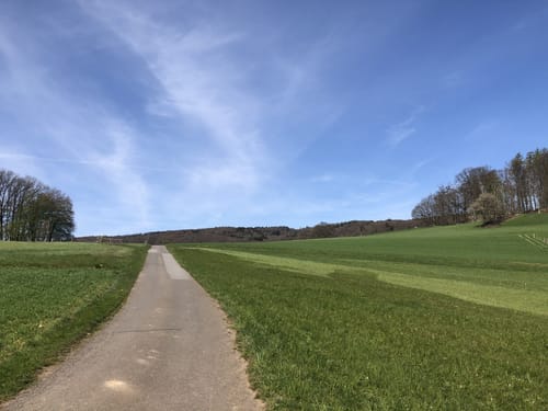 Von Reichelsheim zum Hofgut Rodenstein