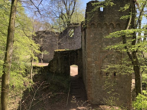 Von Reichelsheim zum Hofgut Rodenstein