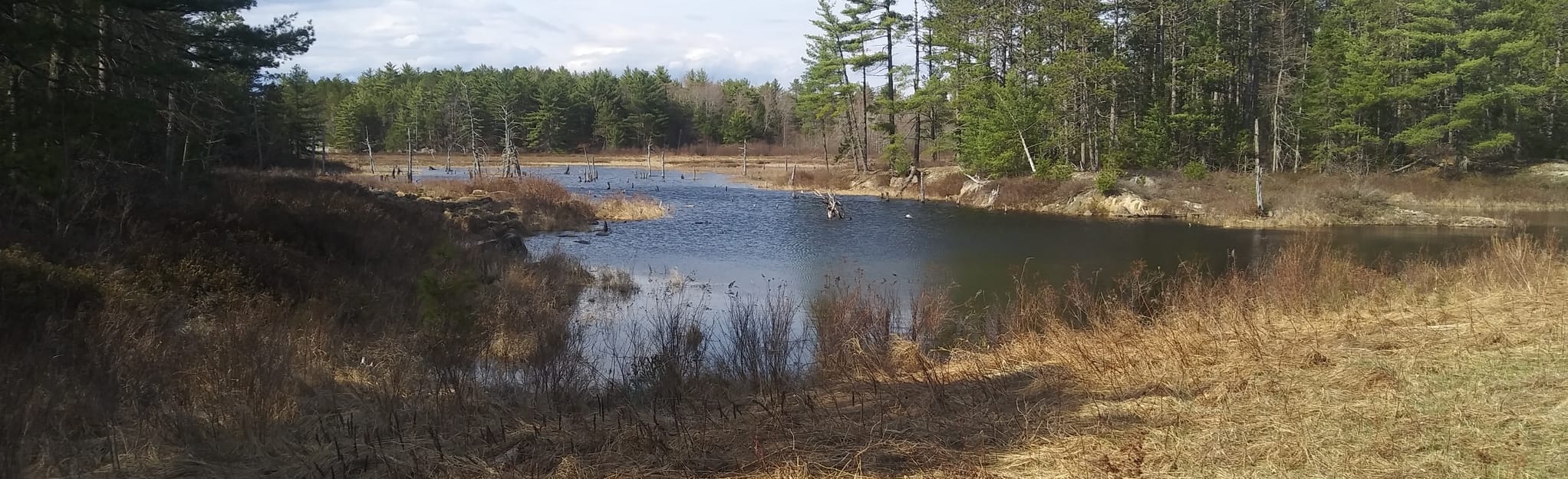 AllTrails Conic Trail 11 Reviews, Map Maine