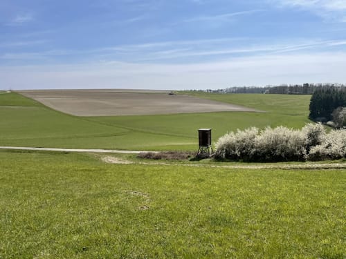 Dickschieder-Wildwechsel (Premiumwanderweg)
