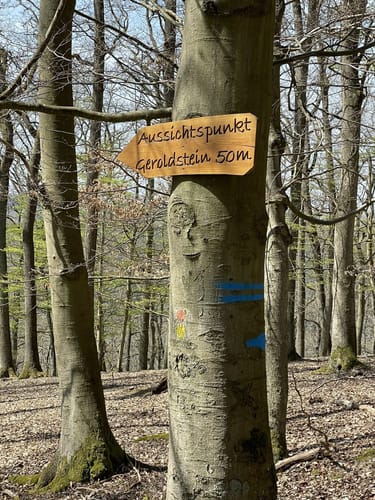 Dickschieder-Wildwechsel (Premiumwanderweg)