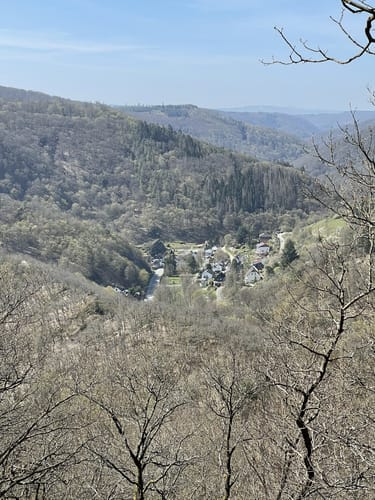 Dickschieder-Wildwechsel (Premiumwanderweg)