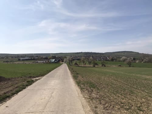 Bubenheim nach Engelstadt