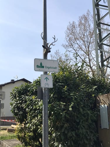 Bubenheim nach Engelstadt