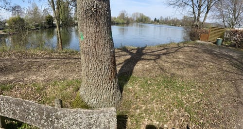 Erlensee - Kinzigaue - Langenselbold