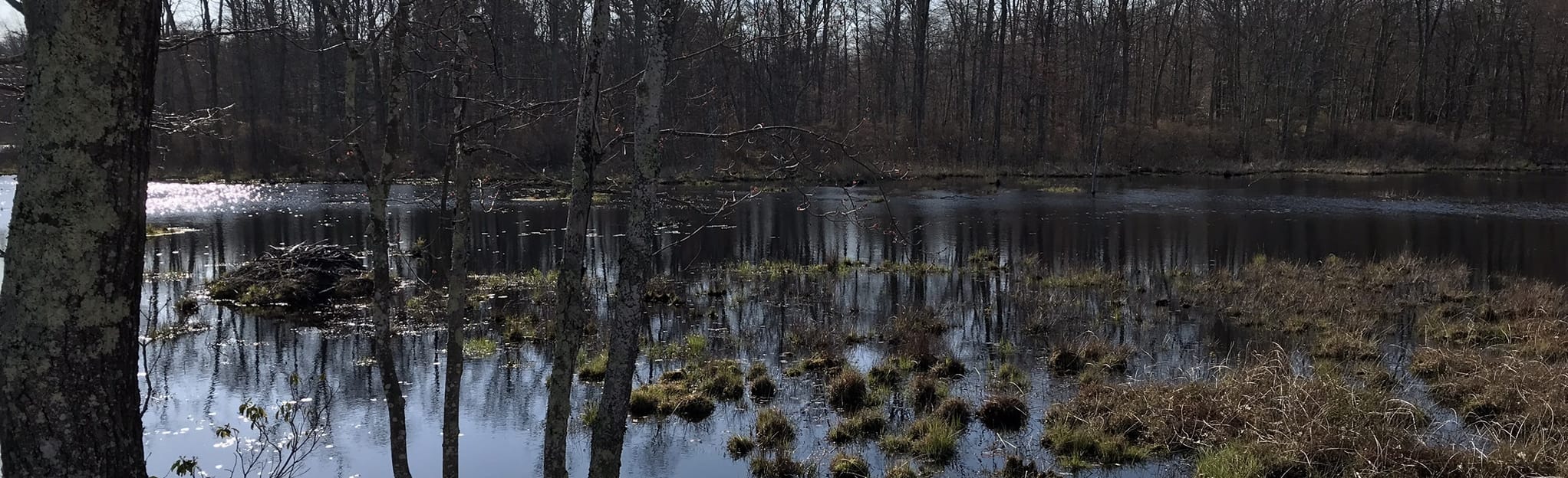 Airline State Park Trail North -