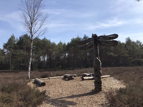 Schönramer Moor