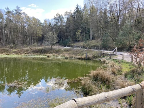 Nordic Walking N1 - Leichte Tour Heide