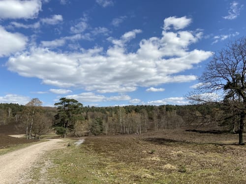 Heidschnuckenweg Etappe 1: Fischbek - Buchholz in der Nordheide